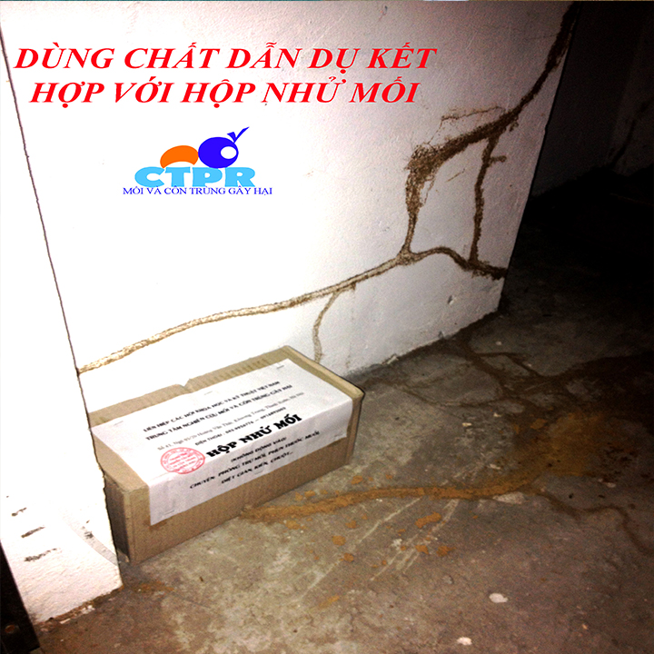[chính hãng] Thuốc Diệt Mối CẢ ĐÀN TERMIZE 200SC - Thuốc không có mùi