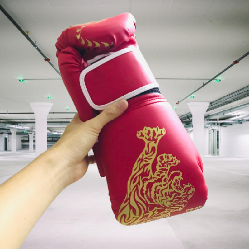 Găng Tay Đấm Bốc, Bao Tay Đấm Bốc, Bao Tay Boxing Cho Người Lớn – Hàng Chính Hãng