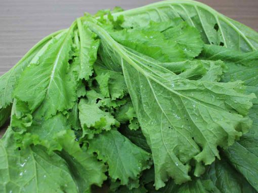 HẠT CẢI BẸ XANH MÀO GÀ - GÓI 20 GRAM