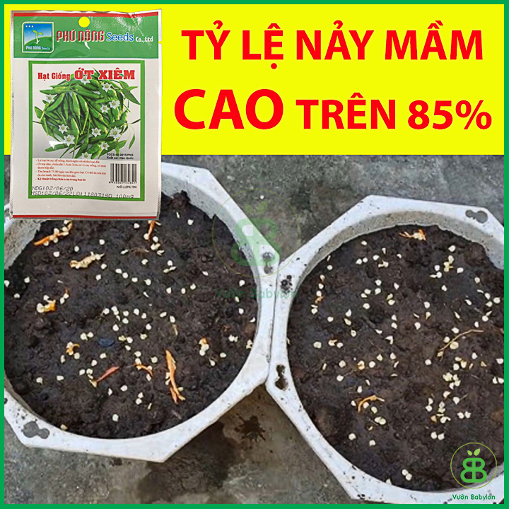 Hạt Giống Ớt Xiêm Cao Sản 0,1Gr