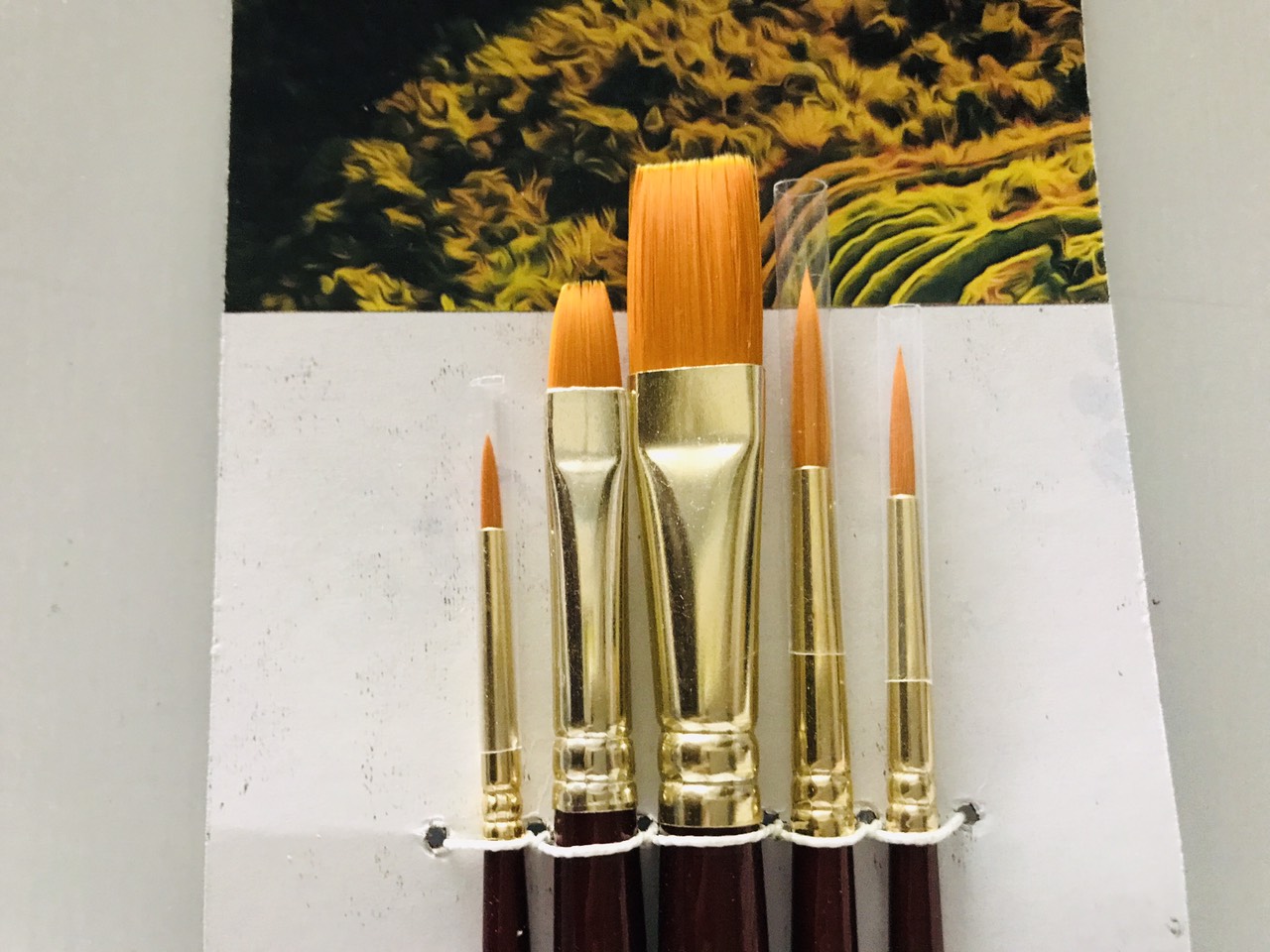 BỘ CỌ VẼ CƠ BẢN SET 5 CÂY (MA 121)