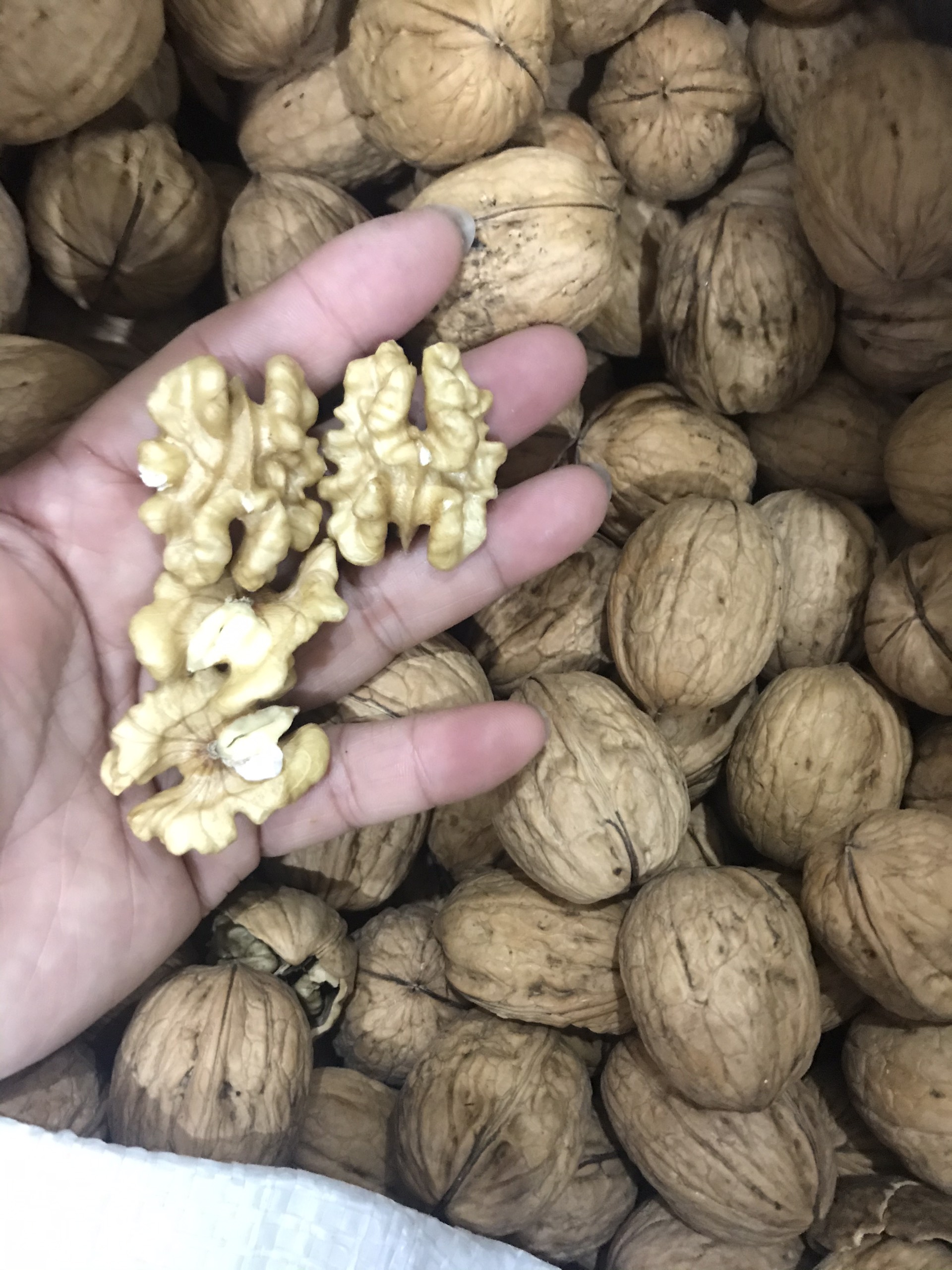 500g Hạt óc chó tách vỏ Mỹ
