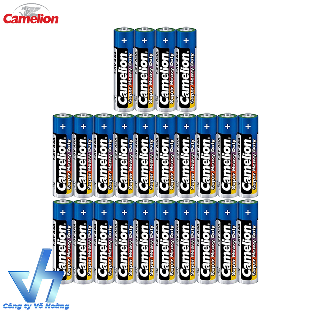 24 pin AAA Camelion R03P