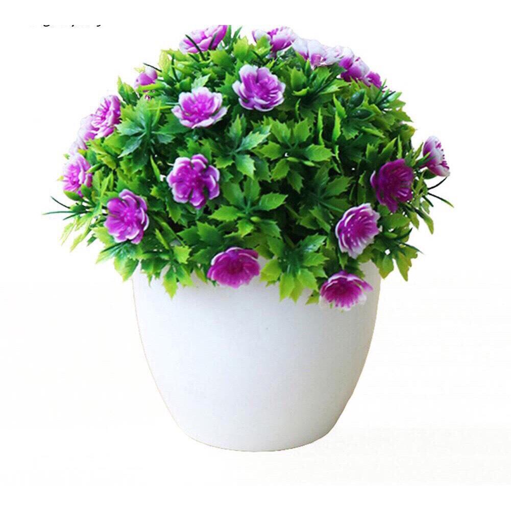 Chậu hoa nhí trang trí để bàn siêu xinh kích thước 15x14cm.  Cam kết hàng uy tín, chất lượng, giá tốt trên thị trường. 
