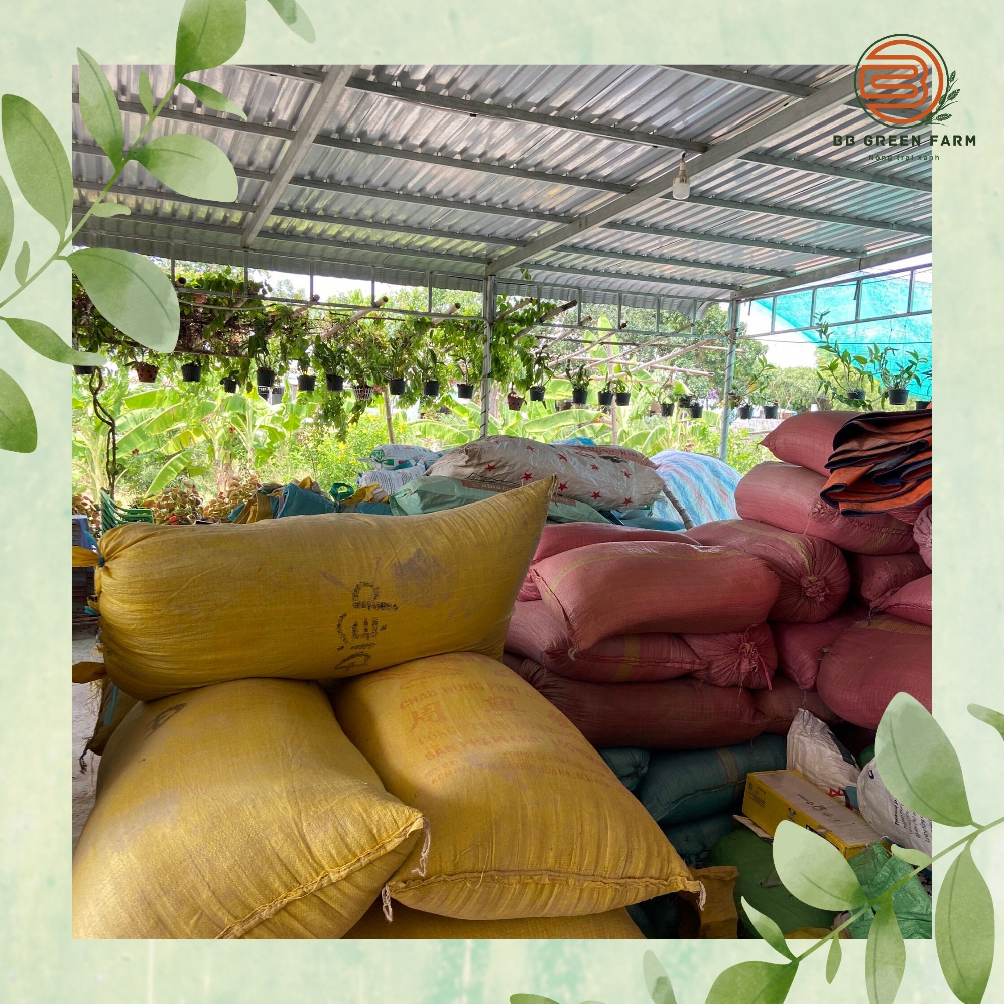 Phân trộn sẵn (xơ dừa, tro, trấu, phân bò)- BB GREEN FARM (5dm3).
