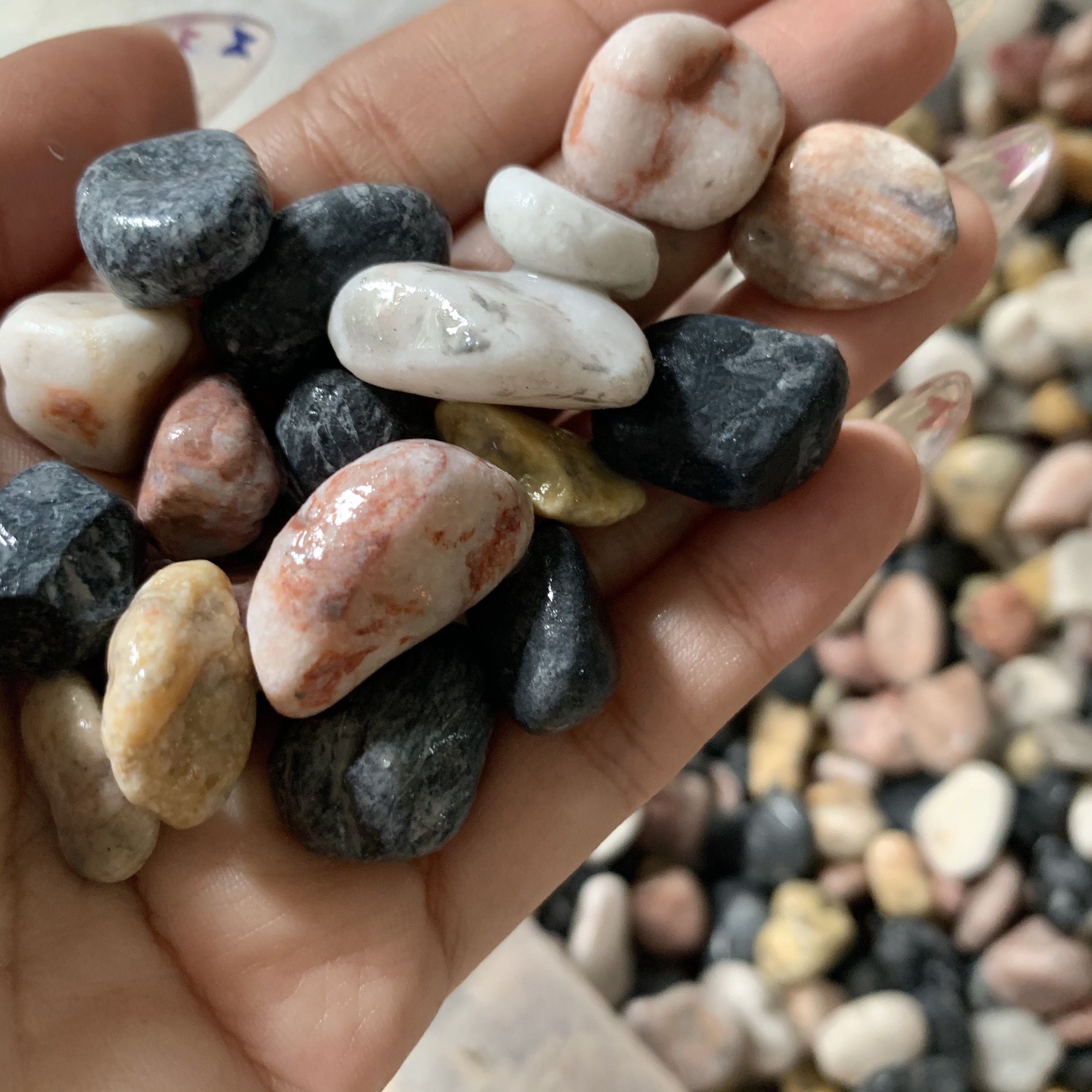 [Chọn size]Combo 5kg Sỏi Đa Màu  Trang Trí Bể Cá,Sân Vườn