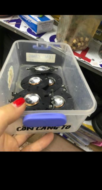 Côn Loa Càng Tép To