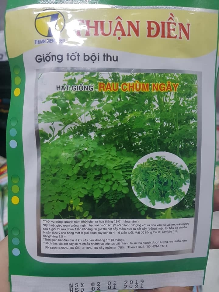 Hạt giống rau chùm ngây Thuận Điền ( 2gram)
