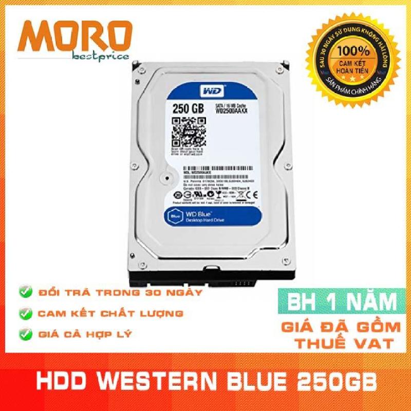 Ổ cứng HDD WD Blue 160GB/500GB/320GB/250GB - Nhập khẩu từ Nhật Bản, Hàn Quốc - Bảo hành 12 tháng 1 đổi 1