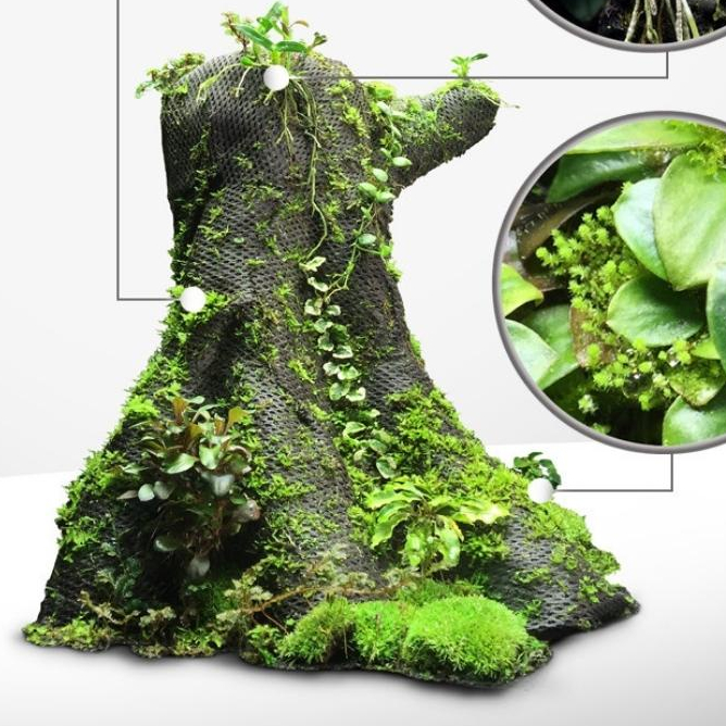Vải giữ ẩm - Setup bán cạn, Terrarium, tường rêu