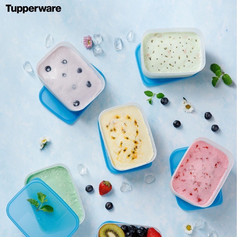 Hộp trữ đông Tupperware 650ml dẹt
