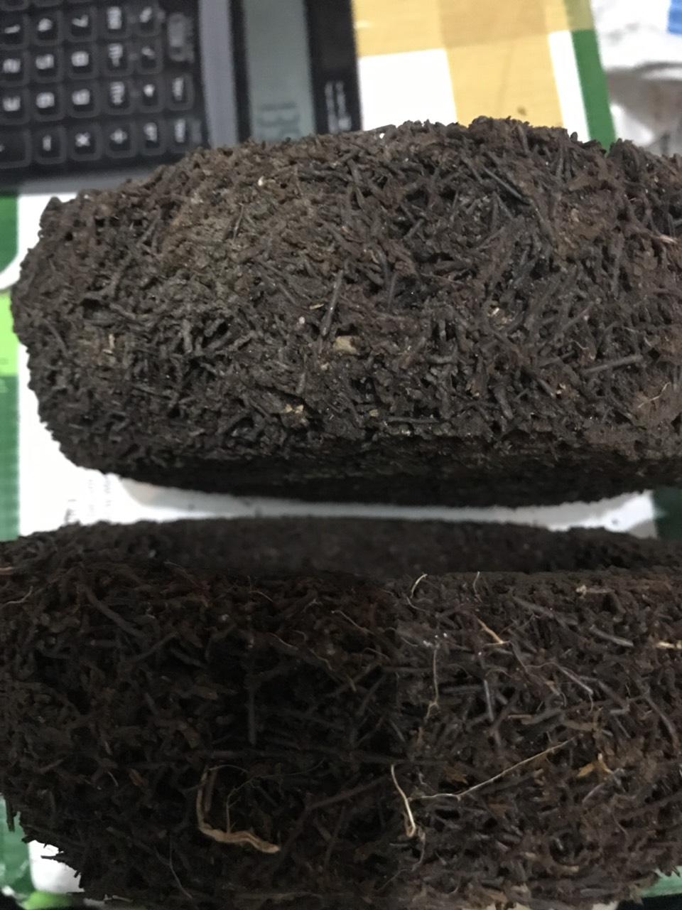 Combo 10 cái dớn dĩa trồng lan đường kính 20cm cao 5-6 cm Giữ ẩm tốt, thoát nước nhanh, rất ít đọng muối, thoáng bộ rễ, nhẹ giàn trồng lan vì không bao giờ đóng rêu nhưng hút ẩm tốt