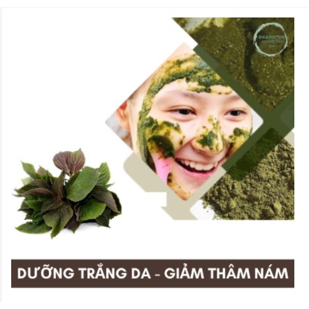 Bột tía tô nguyên chất [500G]