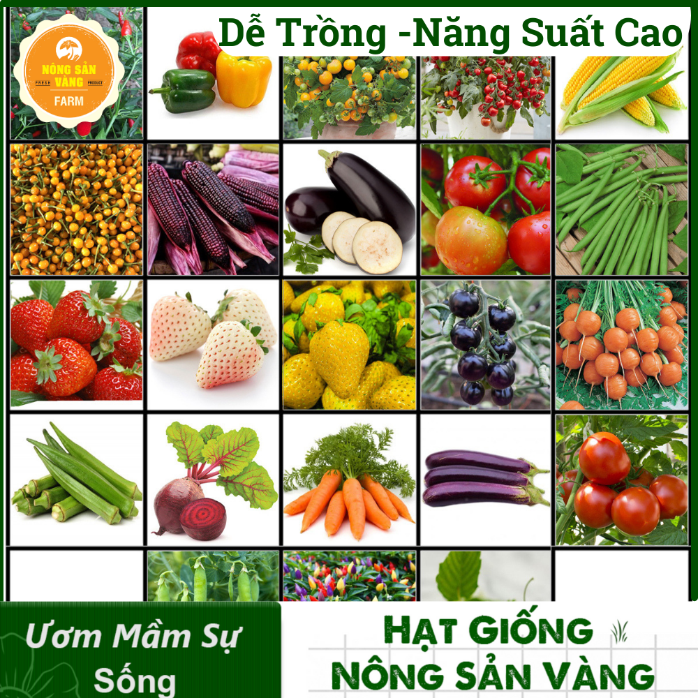 Tổng Hợp Các Hạt giống Ăn Quả, Củ, Nảy Mầm Cao, Sinh Trưởng, Phát Triển Khỏe - Nông Sản Vàng