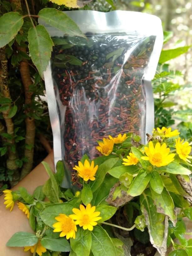 Trà gạo lứt đậu đen