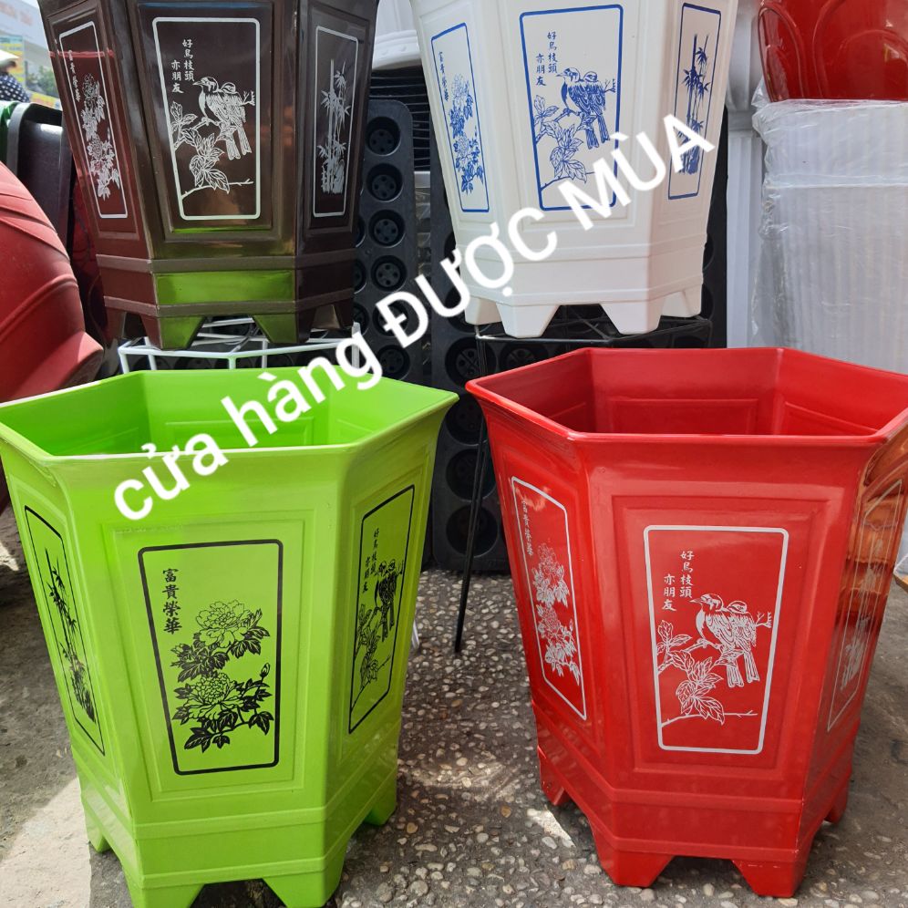 Combo 2 chậu lục giác in lụa 35x35cm