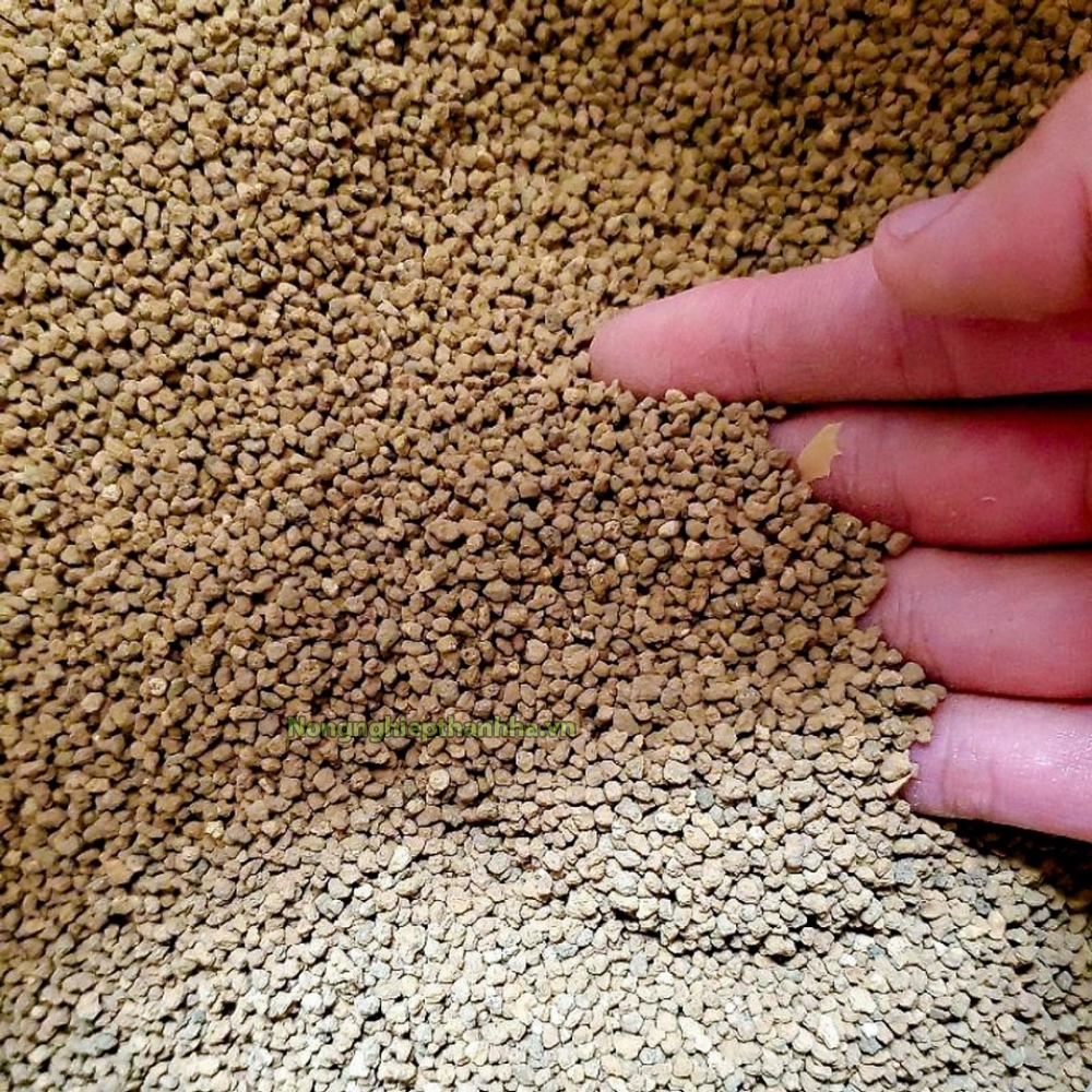 Đất nung Akadama, đất Akadama trồng sen đá cỡ S
