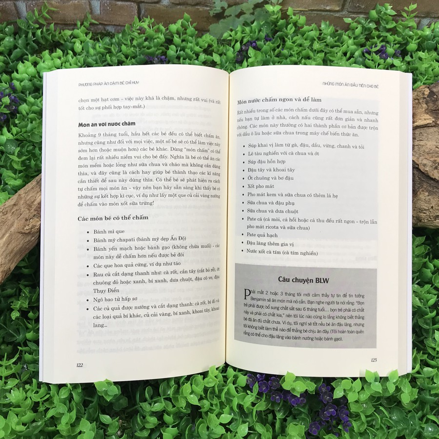 Sách - Phương pháp ăn dặm bé chỉ huy BLW [Thái Hà Books]