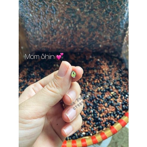 TRÀ GẠO LỨT RẪY MIX ĐẬU ĐEN XANH LÒNG