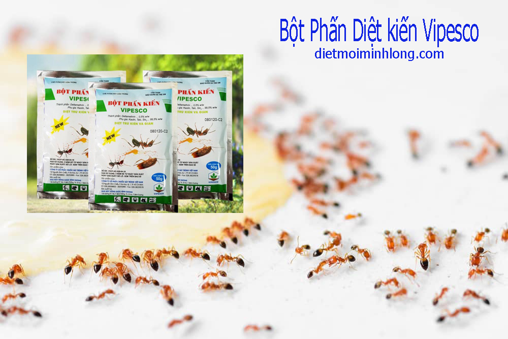 BỘT PHẤN KIẾN VIPESCO – CHẾ PHẨM DIỆT TRỪ KIẾN VÀ GIÁN (Gói 50g)