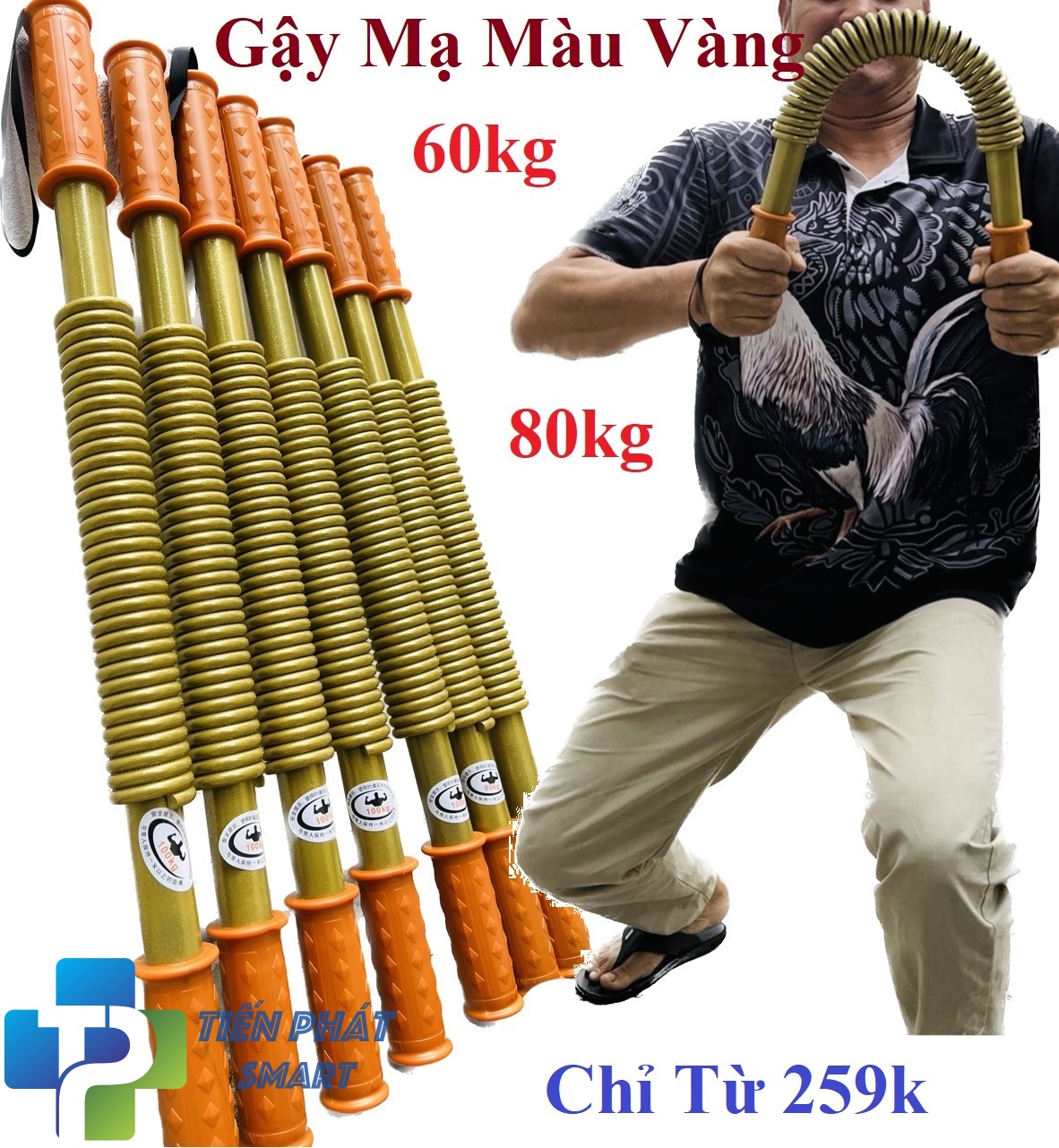 Gậy Lò Xo 60kg,80kg tập cơ tay Twister cao cấp ( Màu Mạ Vàng)