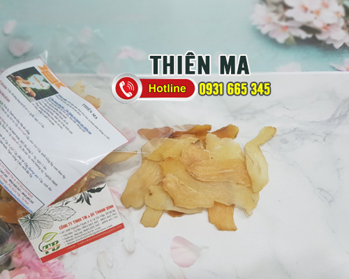 Cây Thiên Ma Khô 1KG - Thảo Dược Thanh Bình