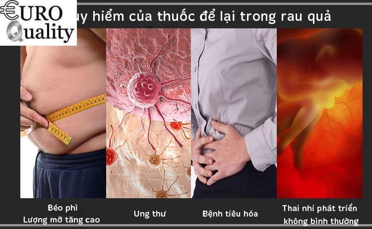 Euro Quality- Máy rửa rau củ diệt khuẩn gia dụng