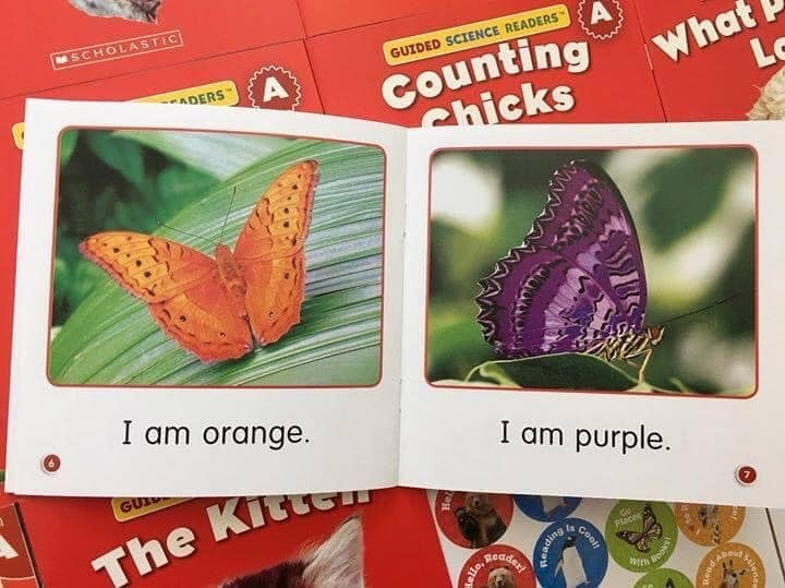 Bộ 5 hôp 81 cuốn Scholastic Guided Science Readers ABCDEF (Tặng kèm file nghe)