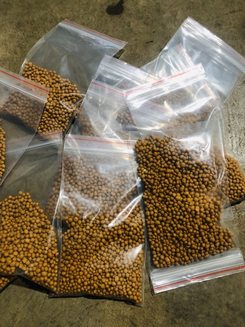 100gr phân tan chậm cho sen đá- xương rồng- hoa-cây cảnh