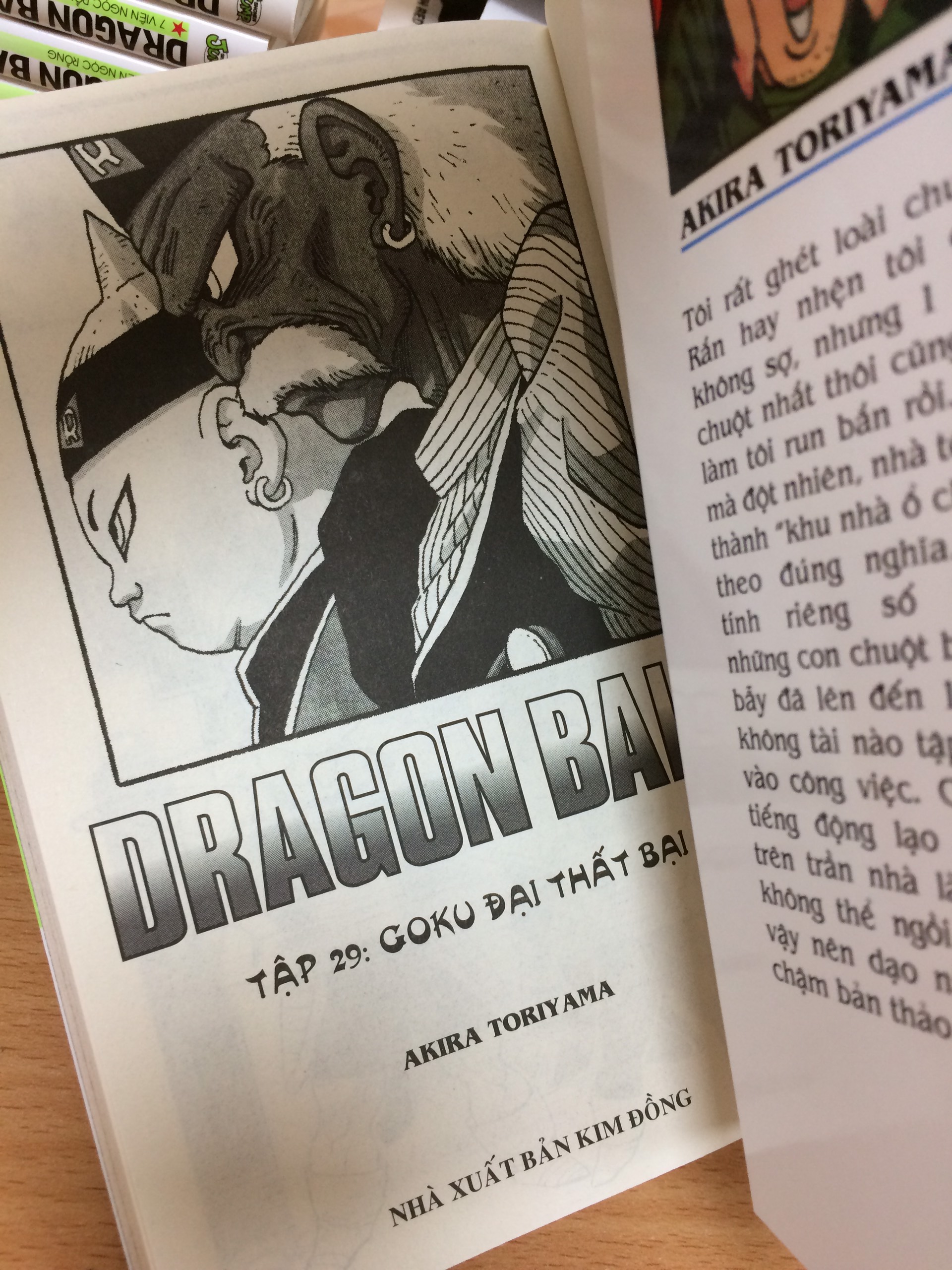 DRAGON BALL - TẬP 29
