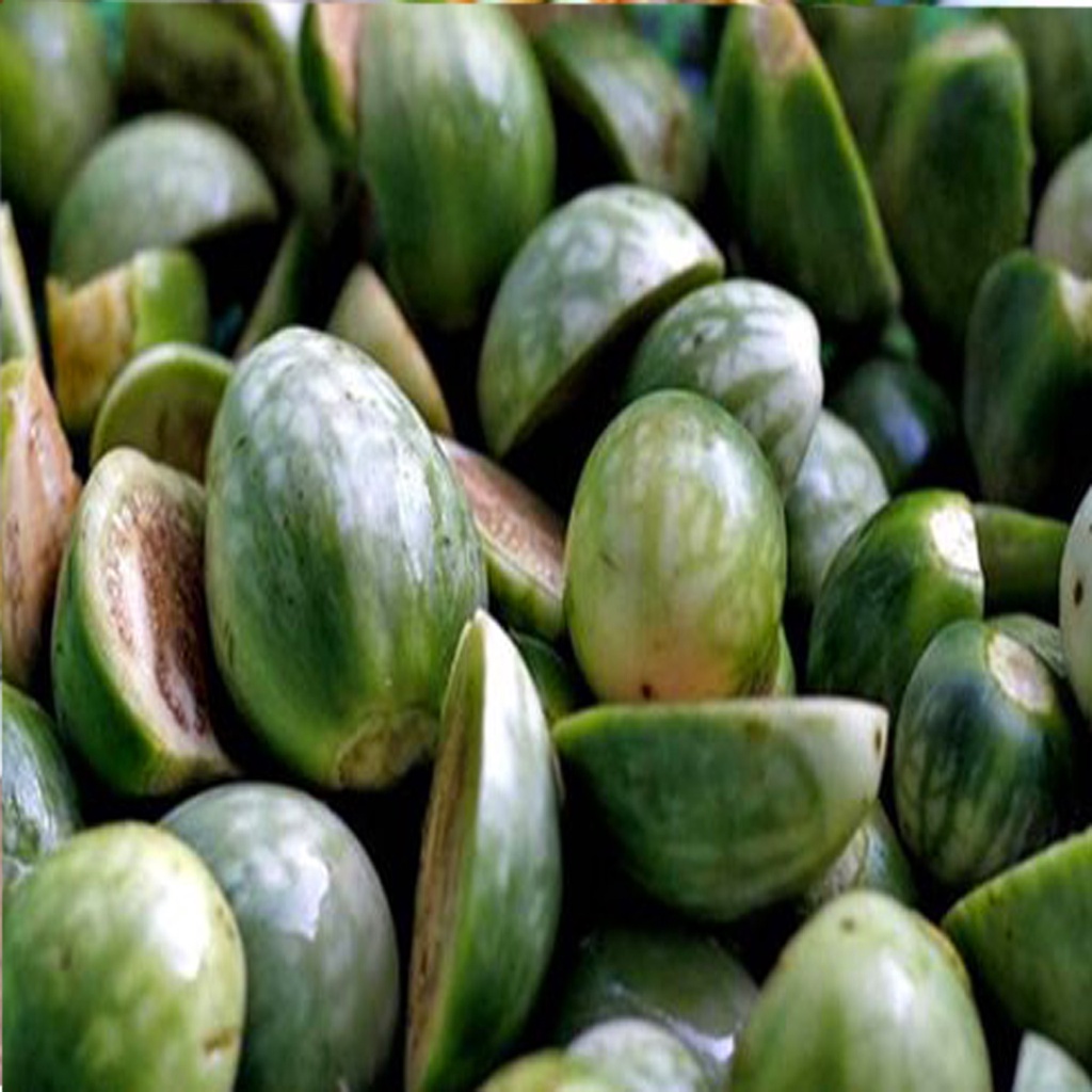 Cà Đắng Tây Nguyên ( 1kg) DSFDF