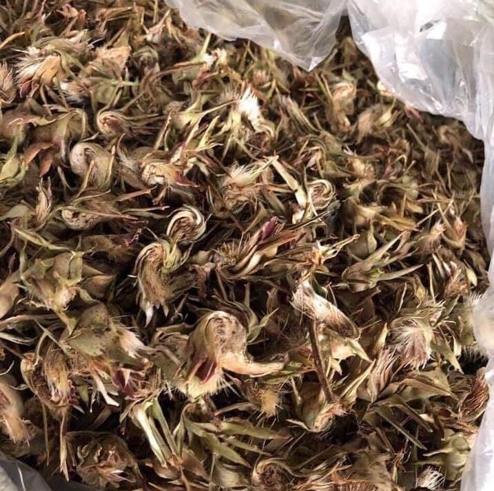 HOA ATISO loại 1 -1kg