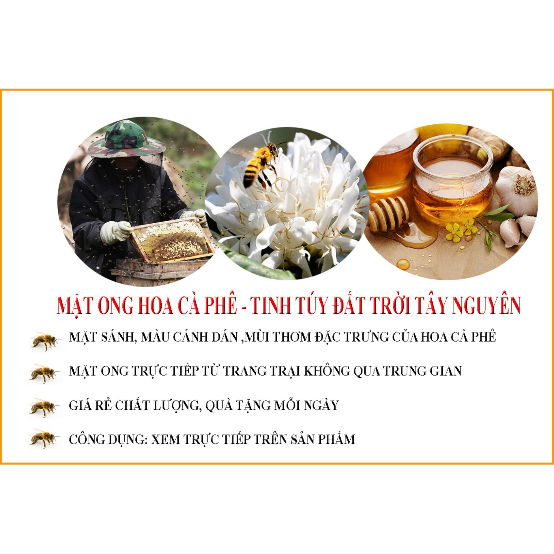 [HCM]Mật Ong Hoa Cà Phê Bảo Lộc 500ml
