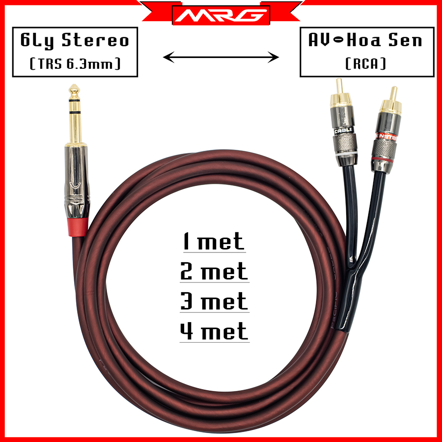 Dây 6Ly Stereo Ra 2 Đầu AV Hoa Sen Dài 4met 3met 2met 1met TRS 1/4inch To 2 RCA TG003 MrG | dây 6mm dây 6 ly dây 6ly ra av dây 6ly ra hoa sen dây 6li dây jack 6 ly ra av dây rắc 6 ly ra av dây rack 6 ly dây am thanh