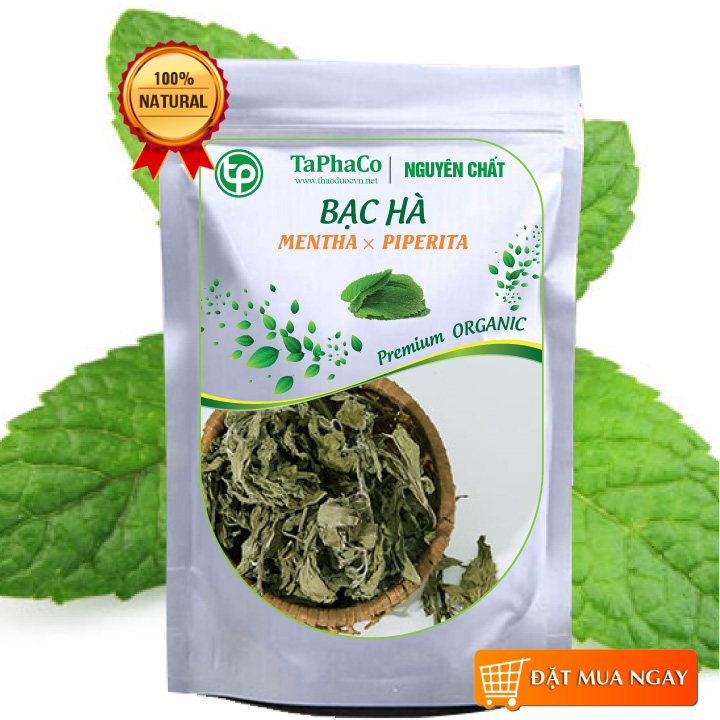 Cây bạc hà 500g tấn phát