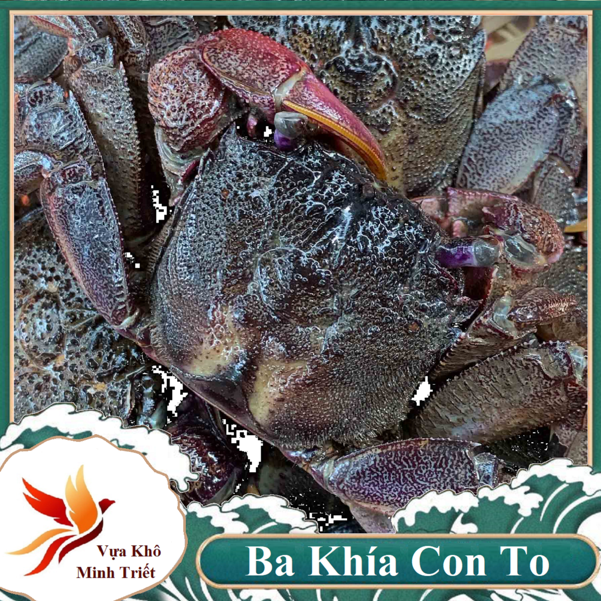 MẮM BA KHÍA  NGUYÊN CON SIÊU CHẮC THỊT- ĐẶC SẢN TỨ DANH BAO NGON- Vựa Khô Minh Triết