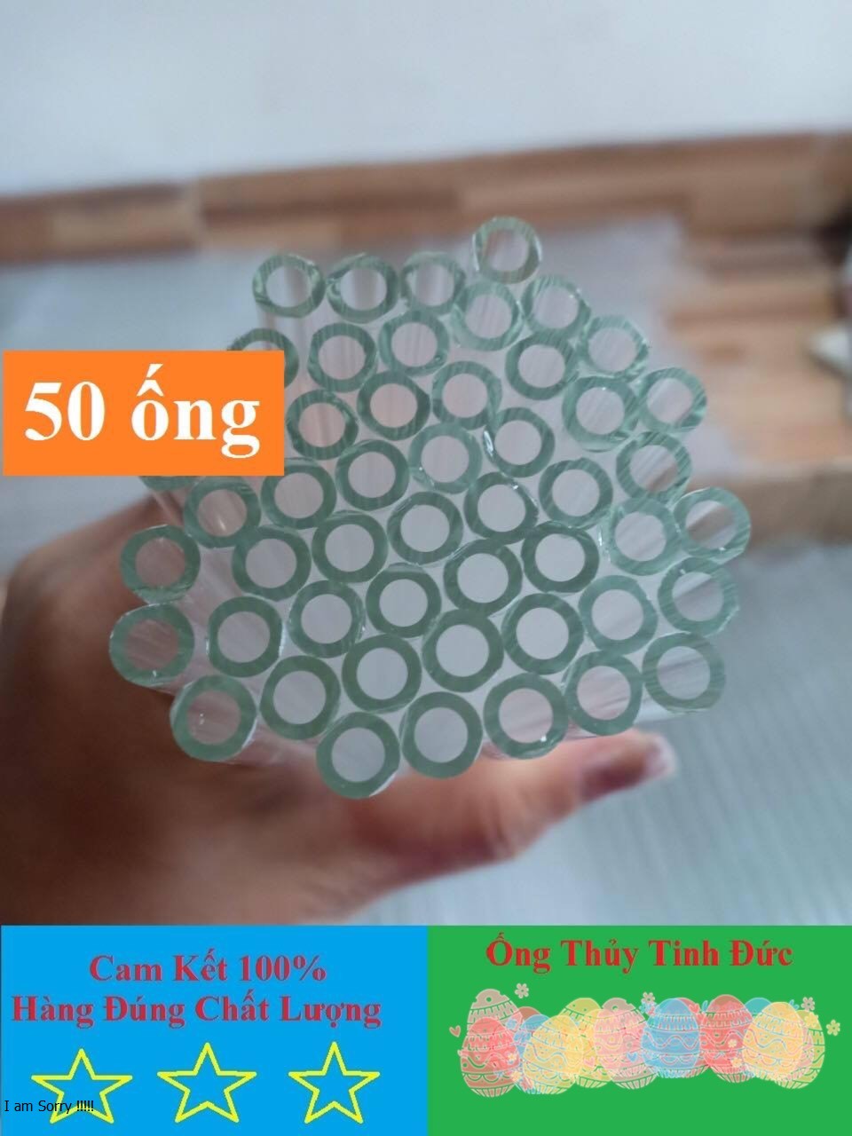 ống thuỷ tinh (50 ống dài 20cm)