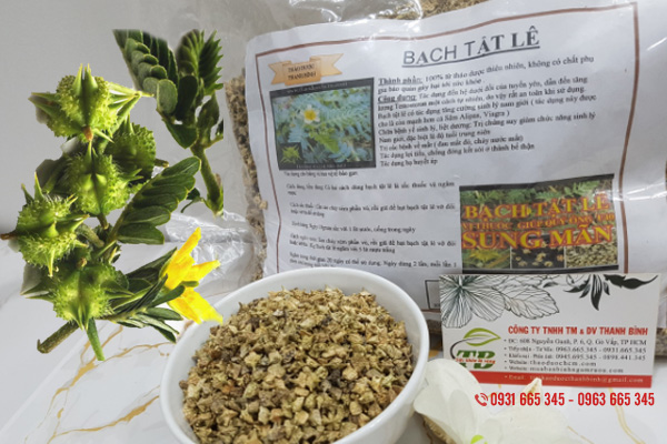 Bạch Tật Lê Khô 500G - Đông Y Thanh Bình