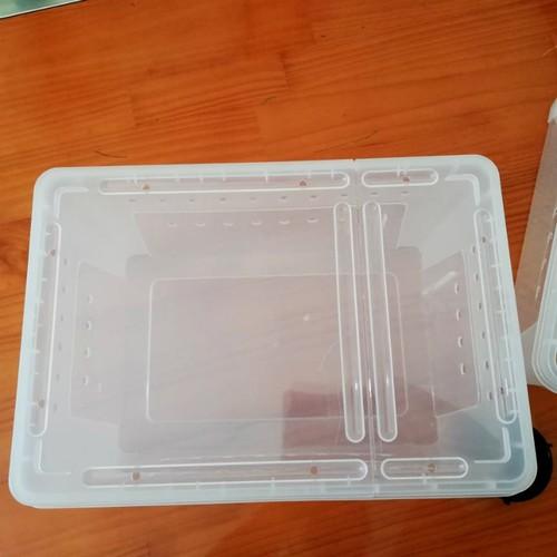 [HCM]Hộp nuôi bò sát loại size to (32*22*15cm - Màu : đen & trắng)