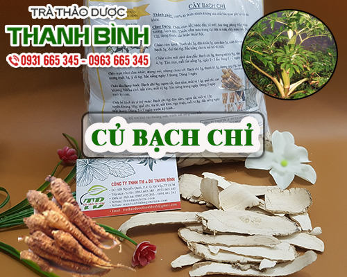 Củ bạch chỉ khô 1kg - đông y thanh bình