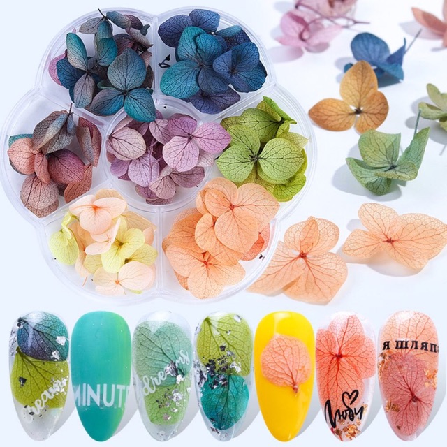 Hoa khô lụa - làm ẩn móng tay chân -nail mi spa ..
