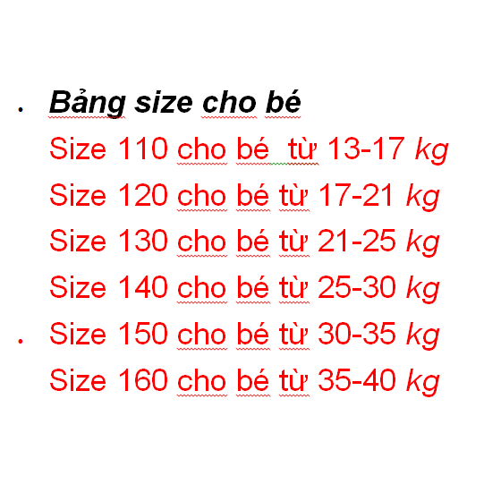 Bộ quần áo bé trai hàng quảng châu - B209
