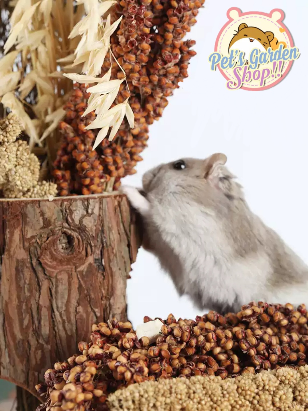 Cành bobo đỏ - Thức ăn hamster