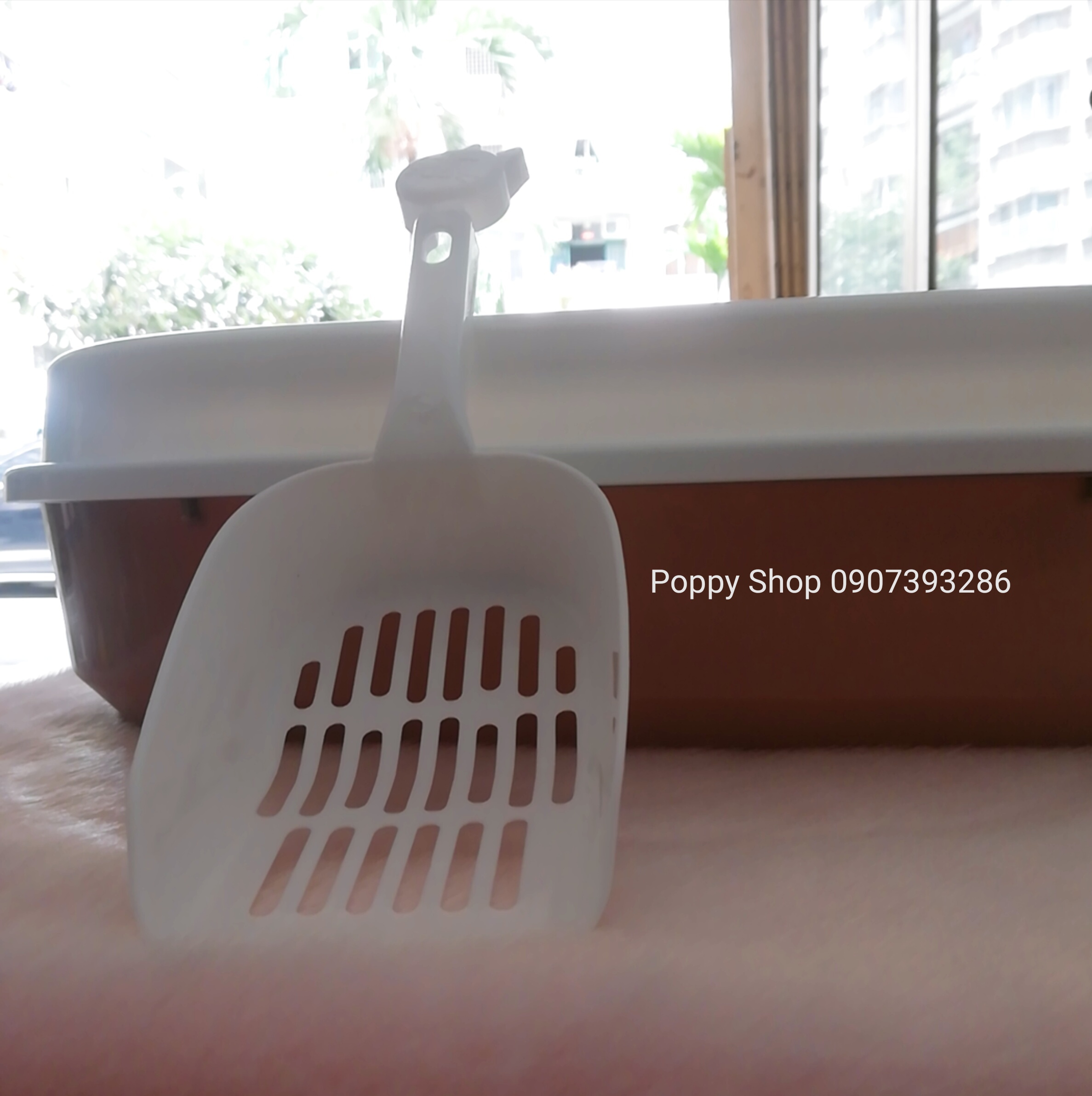 Thau Đi Cát Vệ Sinh Cho Mèo Size Lớn