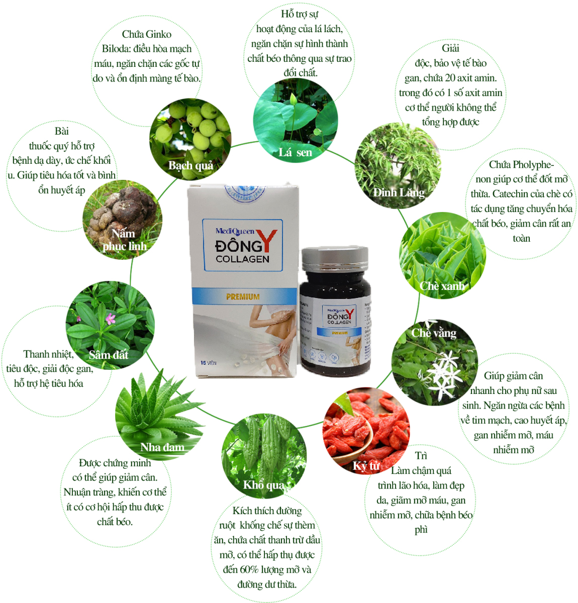 Viên uống giảm béo Đông Y Collagen