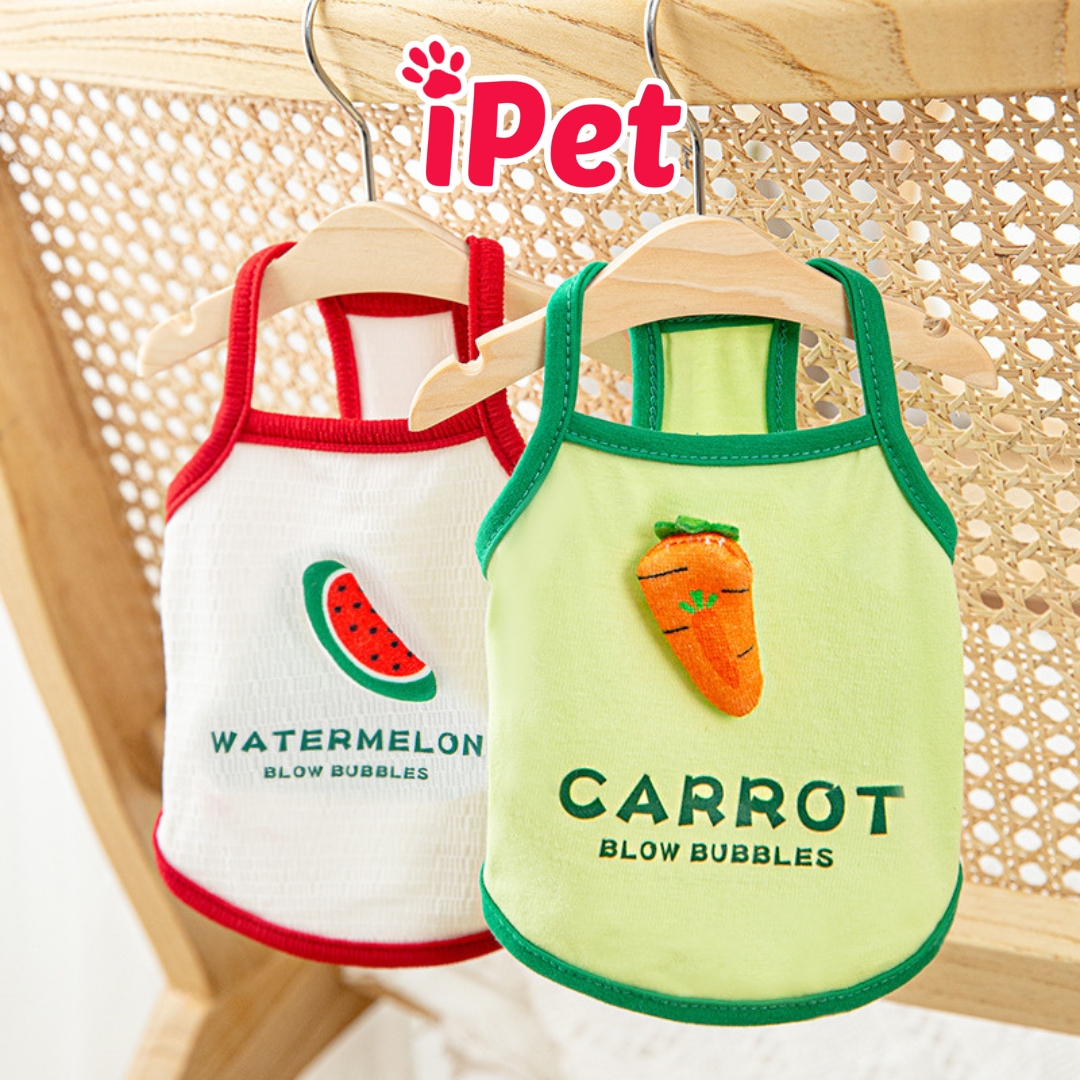 Áo thun hai dây thoáng mát thời trang cho thú cưng chó mèo - iPet Shop