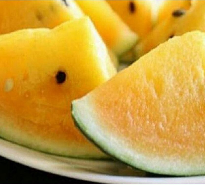 "Gói 10 Hạt " Hạt Giống Dưa Hấu Ruột Vàng