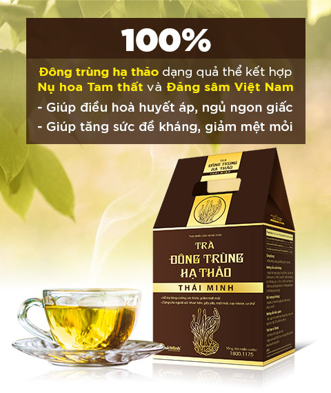 Trà Đông Trùng Hạ Thảo Thái Minh (Hộp 20 gói trà túi lọc)