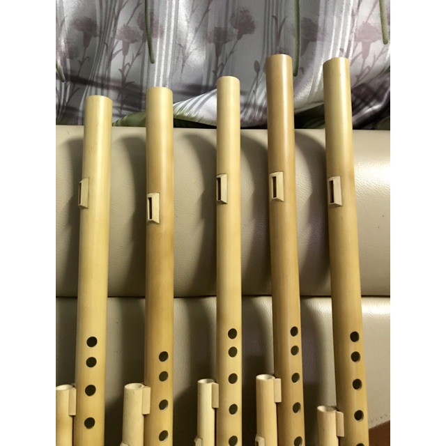 Lam đồng cho sáo mèo nữ