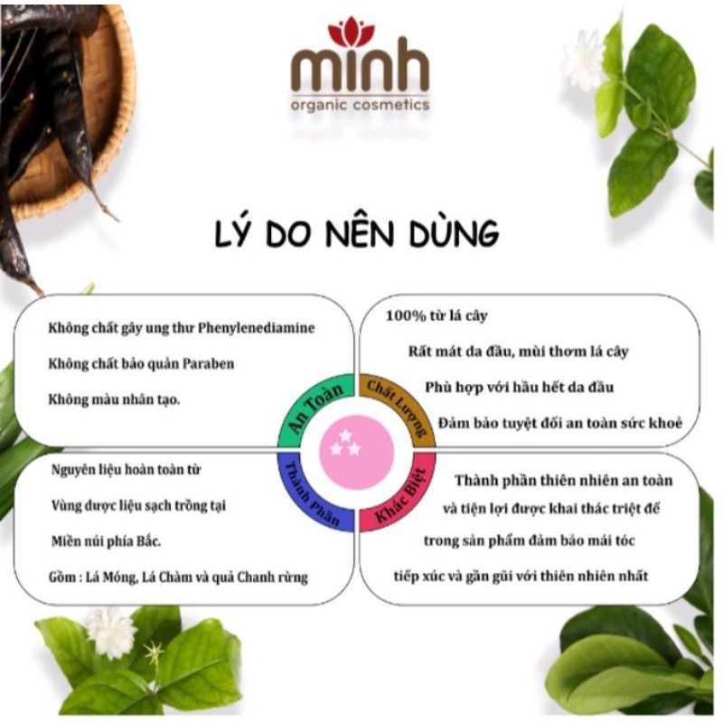 Thuốc nhuộm tóc thảo dược Dalabo (3 gói nhuộm + 1 gói gội)